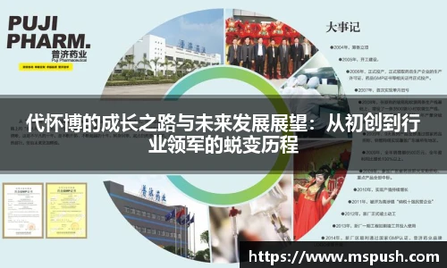 代怀博的成长之路与未来发展展望：从初创到行业领军的蜕变历程